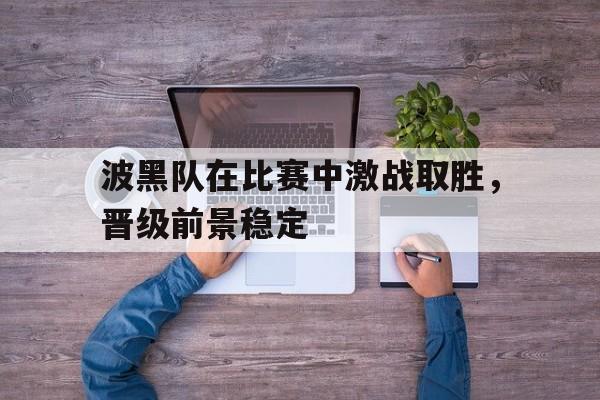 波黑队在比赛中激战取胜，晋级前景稳定的简单介绍